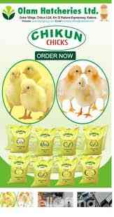 Olam Nigeria Limited Hatcheries and Feed img